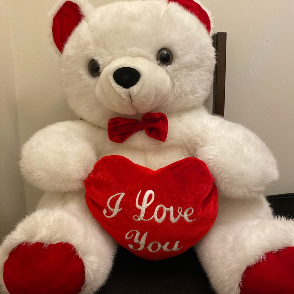 Adorable Valentine/Birthday bear
